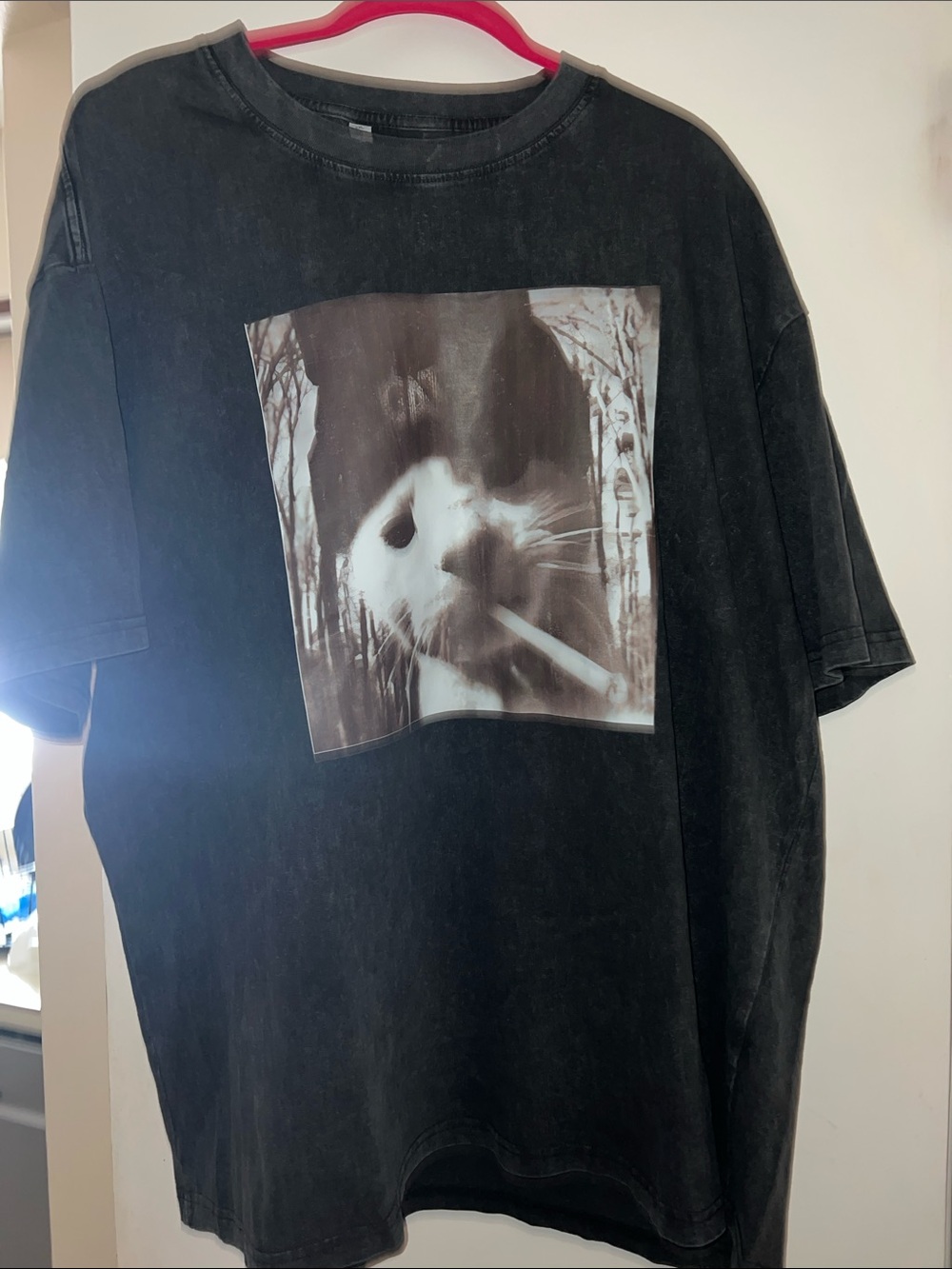 Funny cat t-shirt